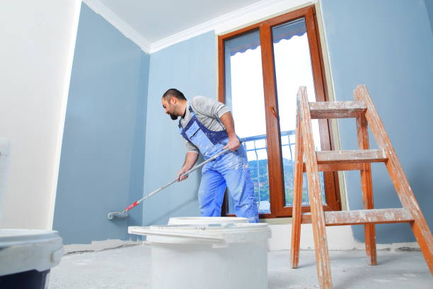 Best Post-Construction Mold Inspection  in Athens, MI