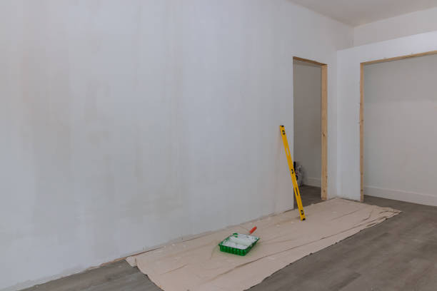 Best Black Mold Removal  in Athens, MI