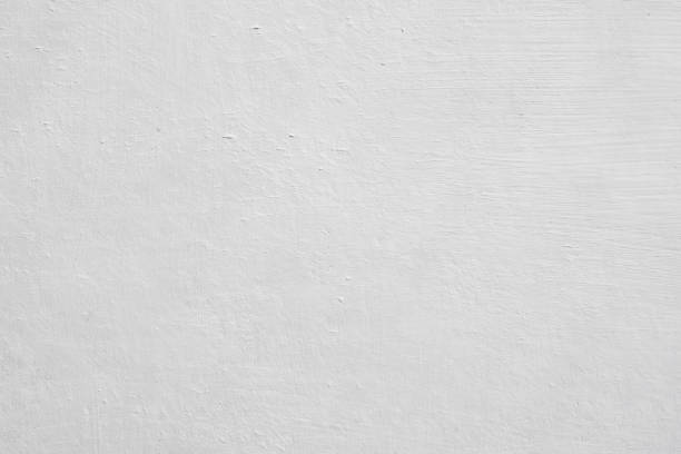 Professional Mold Removal in Athens, MI