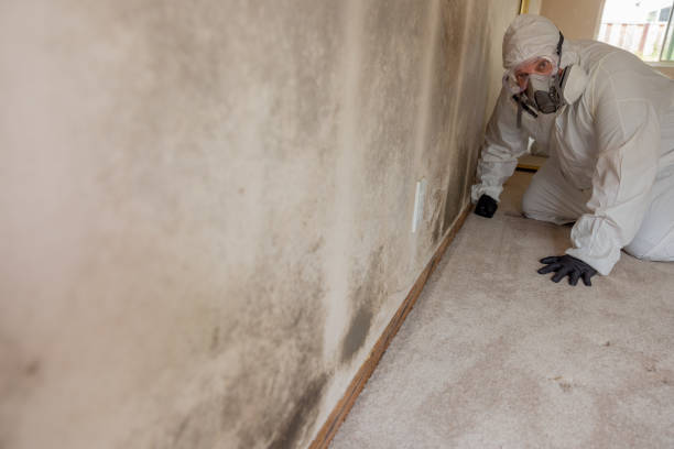 Best Residential Mold Inspection & Testing  in Athens, MI