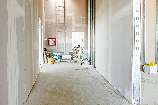 Best Industrial Mold Remediation  in Athens, MI